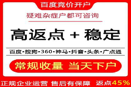 竞价排名中关键词出价策略的案例探讨